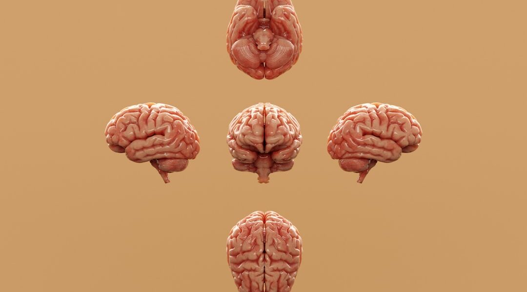 Photo Brain Implant