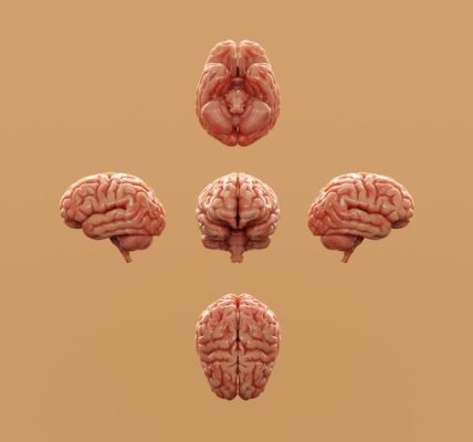 Photo Brain Implant