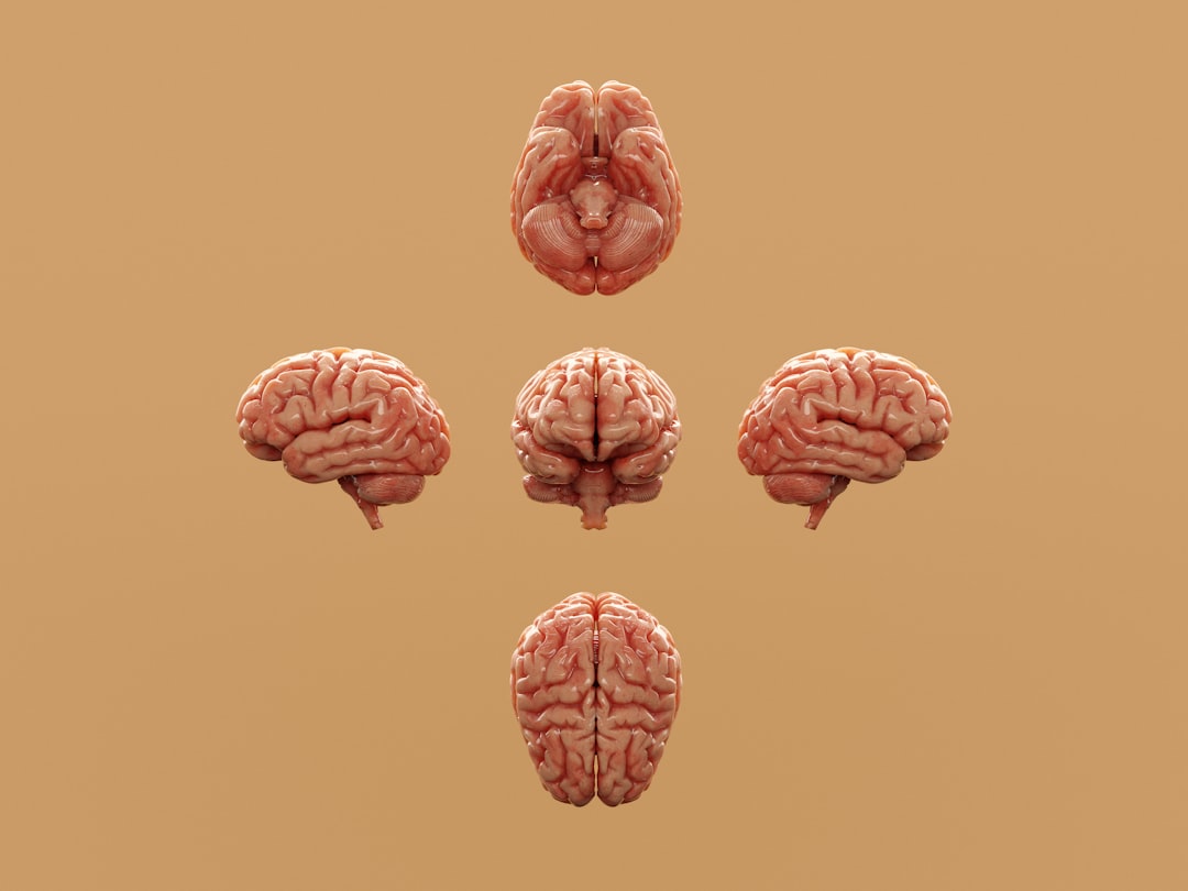 Photo Brain Implant