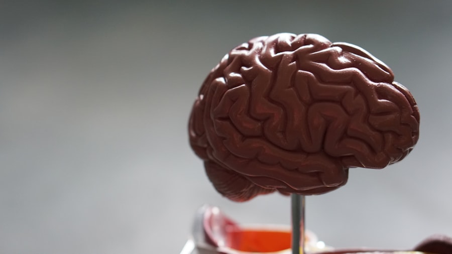 Photo Brain Implant
